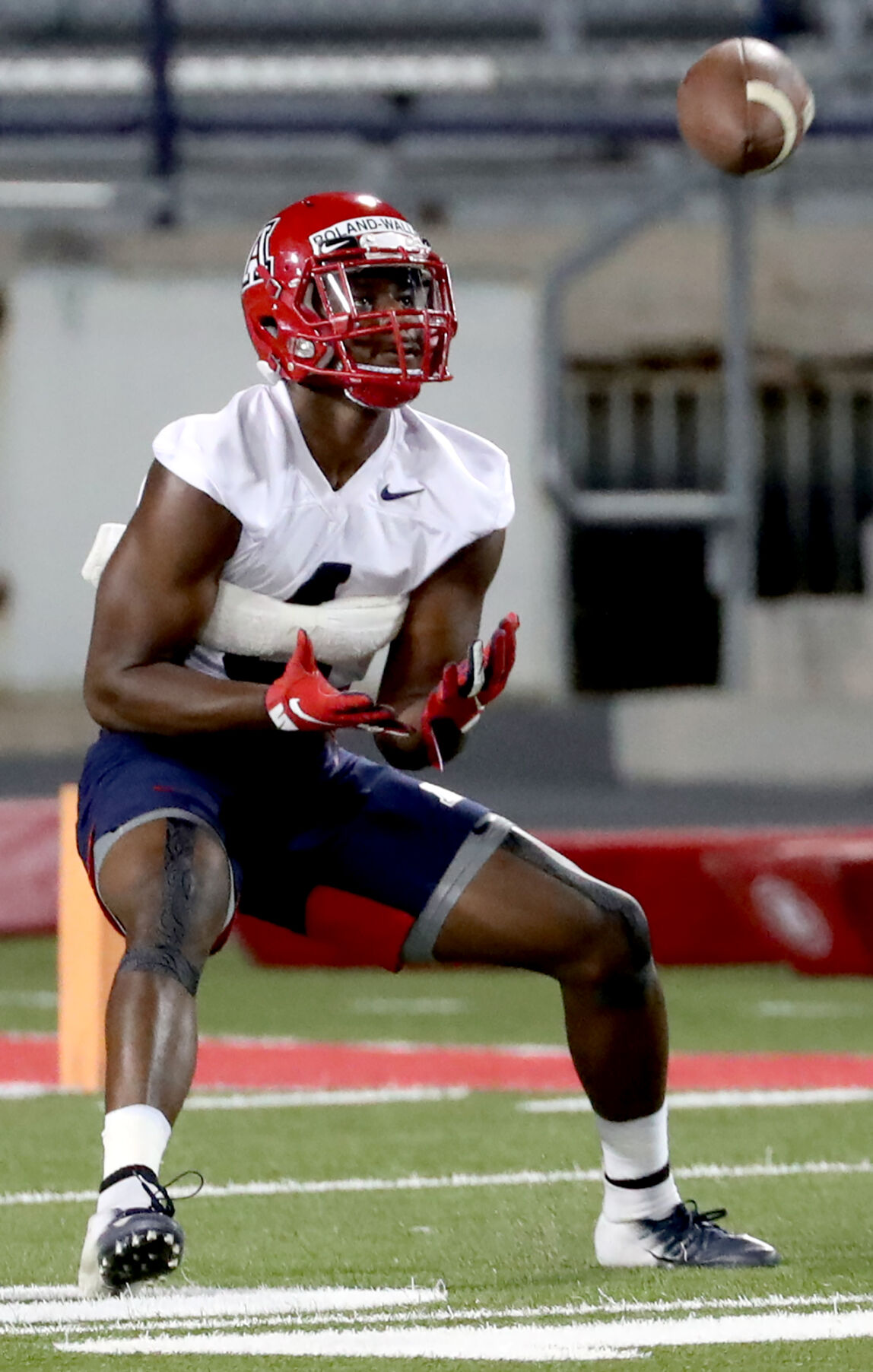 Arizona Wildcats